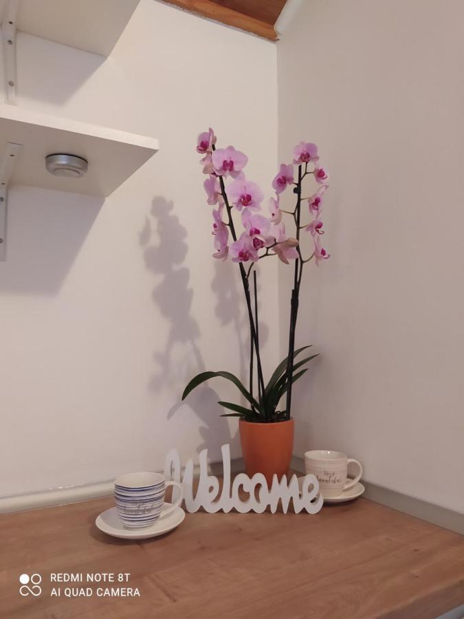 Apartments Ante Tribalj المظهر الخارجي الصورة